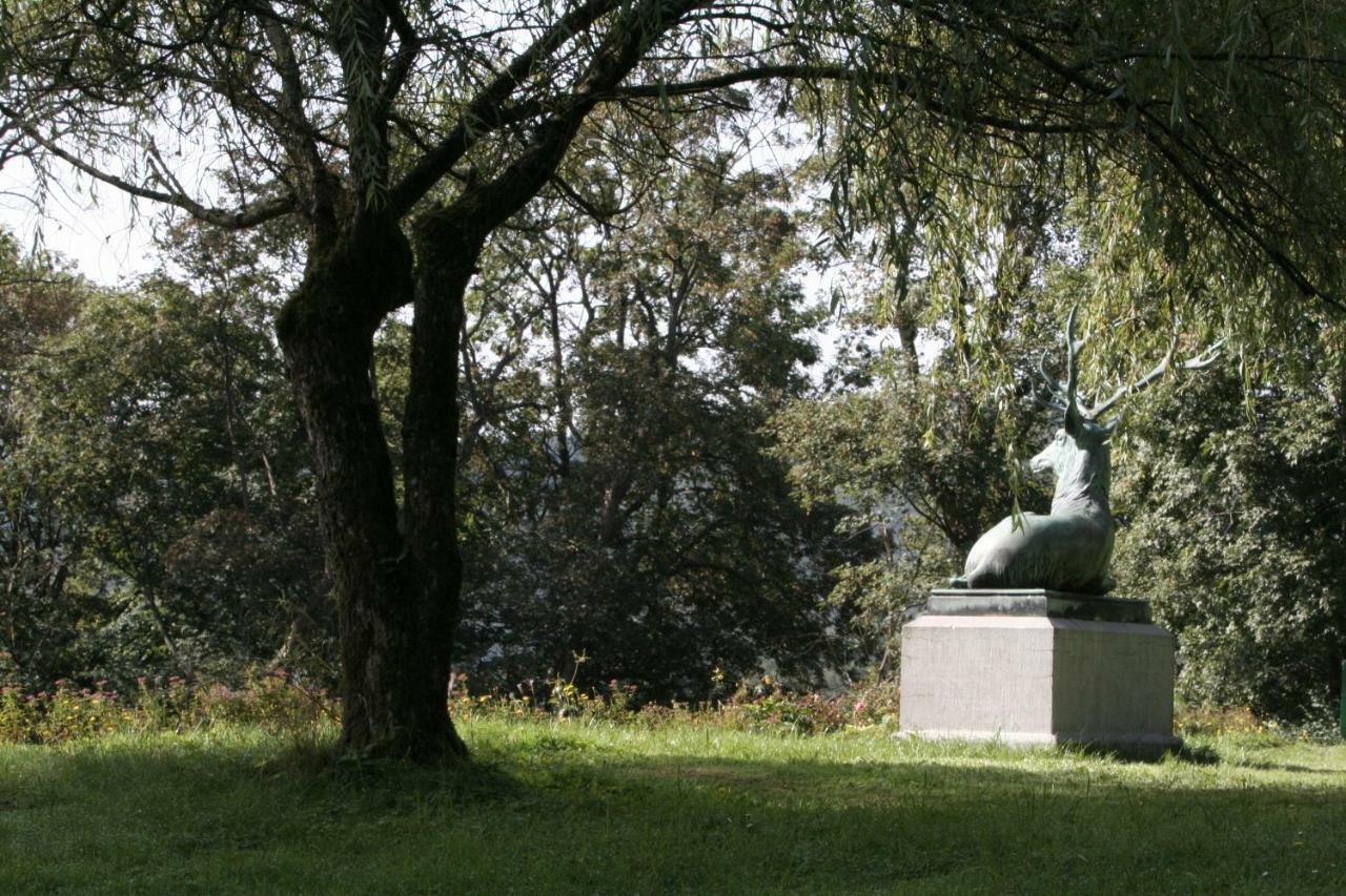 Schloss Wittgenstein Apartman Bad Laasphe Kültér fotó